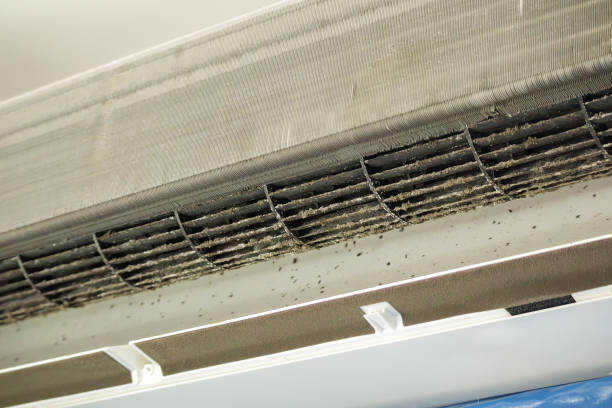 Best Emergency Air Duct Cleaning  in Sunset, UT